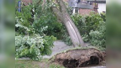 Zalane piwnice i powalone drzewa. Weekendowy raport malborskich służb mundurowych – 20.06.2016