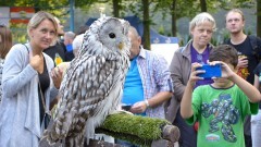 II Malborski Happening Przyrodniczy „Spójrz Sowie w Oczy” - 10.09.2016