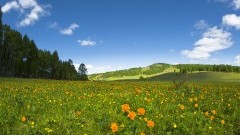 "Wiosna, wiosna ach to Ty!" - Pierwszy dzień astronomicznej wiosny - 20.03.2017