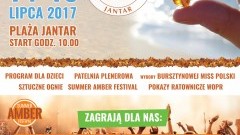 Zapraszamy XIX Mistrzostw Świata w Poławianiu Bursztynu na plaży w Jantarze - 14-15.07.2017