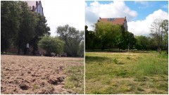 W końcu oczyszczono część dzikiej plaży w Malborku  – 09.06.2017