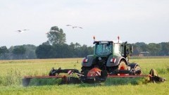 Ceny produktów rolnych w maju 2017 r. - 07.07.2017