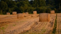 Gm. Stary Targ: Śmierć rolnika podczas prac polowych – 16.09.2017