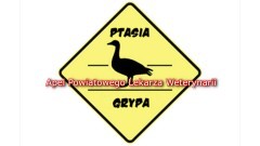 Jest zagrożenie wystąpienia ptasiej grypy w rejonie Malborka. Apel lekarza weterynarii – 04.10.2017