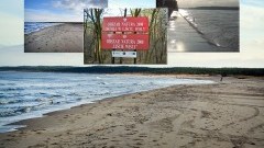 Mikoszewo: Piękna plaża dla miłośników dzikiej przyrody. - 26.11.2017