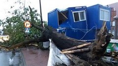 O krok od tragedii w centrum Malborka. Powalone drzewo uszkodziło barak&#8230;