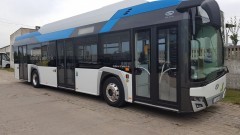 MZK chce kupić pięć elektrycznych autobusów. Jest tylko jedno ale. 