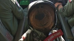 Niedźwiadek z 22. BLT w Malborku zwiedza świat.