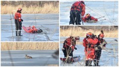 Sarna w Nogacie – weekendowy raport malborskich służb mundurowych.