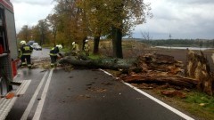 Malbork i Sztum. Strażacy zmagali się ze skutkami potężnej wichury.