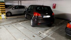 Mistrz (nie tylko) parkowania na Alei Rodła w Malborku.