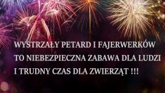 Wystrzały petard i fajerwerków - niebezpieczna zabawa dla ludzi i trudny&#8230;