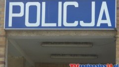 Policja apeluje: uwaga na leśne zwierzęta na drogach – 30.10.2015