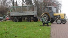 Odkurzaliście kiedyś liście? Złota Polska Jesień w Malborku - 13.11.2015