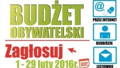 Ruszyło głosowanie w ramach budżetu obywatelskiego Miasta Malborka