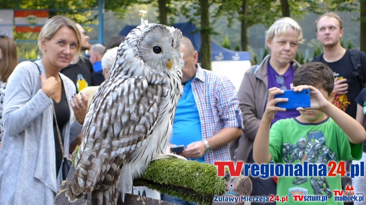 II Malborski Happening Przyrodniczy „Spójrz Sowie w Oczy” - 10.09.2016