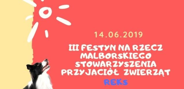 Malbork: Wesprzyjmy malborskiego "Reksa" na festynie!