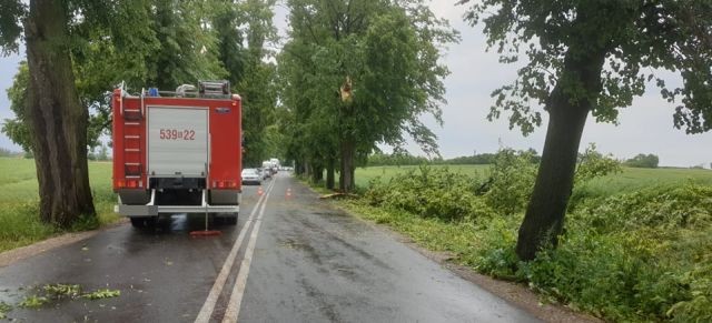 Powiat sztumski: Powalone drzewa, uszkodzone dachy i nie tylko. 72 interwencje&#8230;