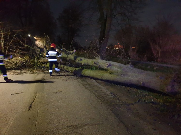 Niż Sabina „szaleje” w powiecie malborskim.