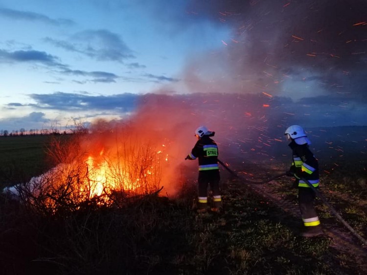 Przestańcie podpalać trawę! Świąteczne interwencje strażaków z&#8230;