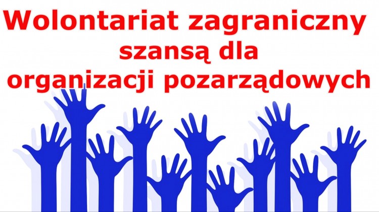 Wolontariat zagraniczny szansą dla organizacji pozarządowych – Starostwo&#8230;