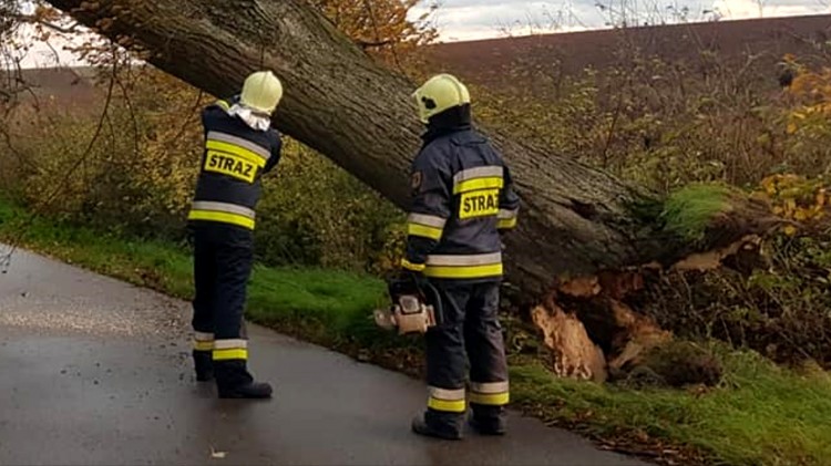 Sztum. Strażacy wyjeżdżali do kilku interwencji związanych z porywistym wiatrem.