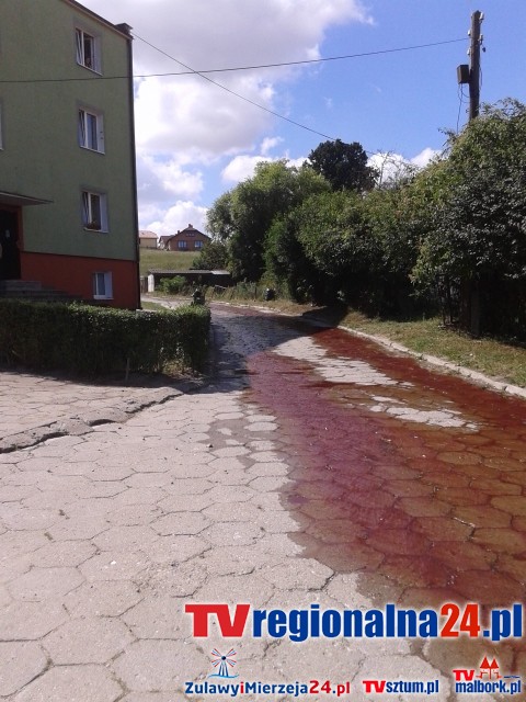 FETOR I RZEKA KRWI PŁYNĘŁA ULICAMI DZIERZGONIA – 13.08.2015