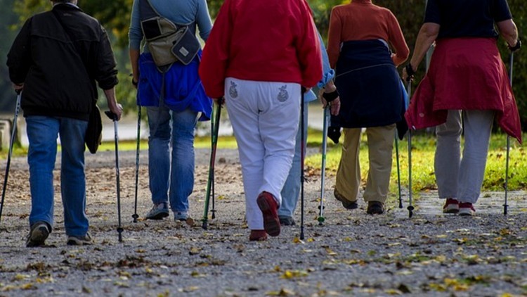 Wielki Mistrz – bitwa o Malbork. Trwają zapisy do biegu i marszu Nordic Walking.