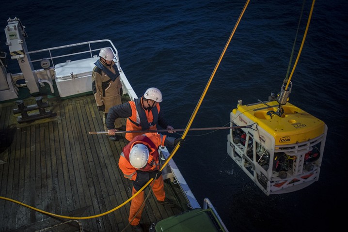 fot. Krystian Bielatowicz