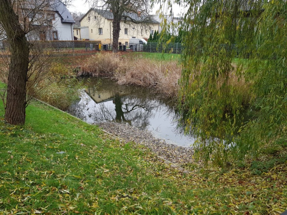 Pociąg do Sztutowa. Historyczno-muzyczna podróż przez dzieje Żuław