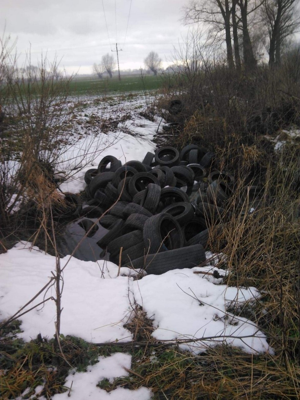 Gmina Stegna. Kto wyrzuca śmieci do rowów melioracyjnych?