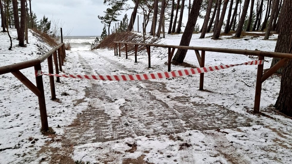 Gmina Sztutowo. Usuwanie skutków sztormu.