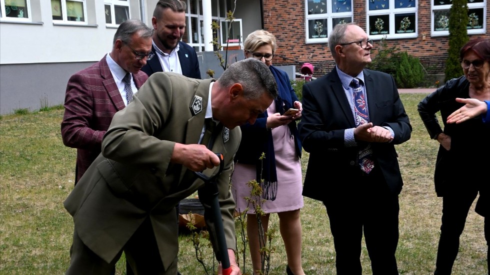 Krynica Morska. Sadzenie drzewek z okazji Dnia Patrona Szkoły Podstawowej.