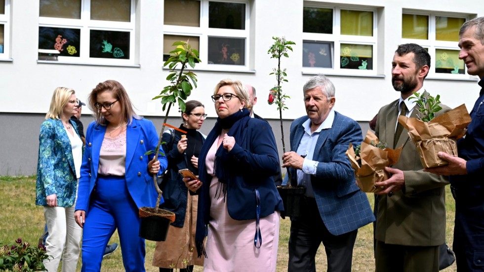 Krynica Morska. Sadzenie drzewek z okazji Dnia Patrona Szkoły Podstawowej.