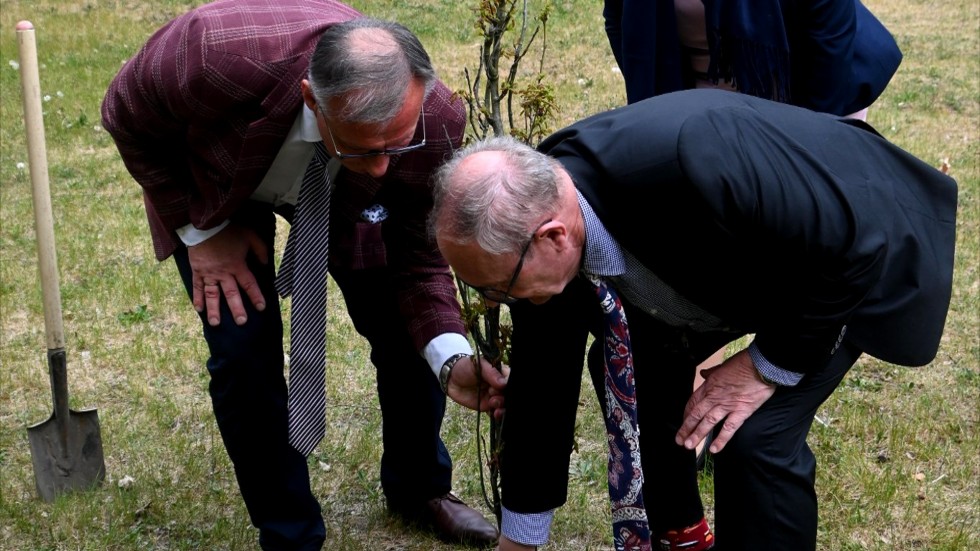 Krynica Morska. Sadzenie drzewek z okazji Dnia Patrona Szkoły Podstawowej.