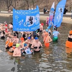Pierwszy zlot morsów w Malborku. Wydarzenie pod nazwą „Rycerska przygoda…